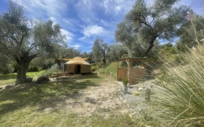 Yurt Life